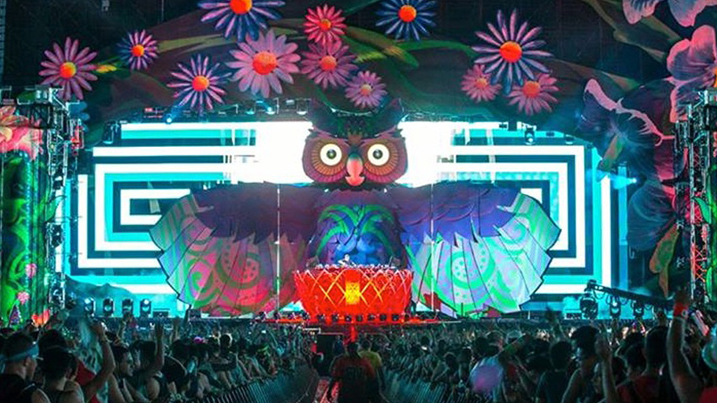 DJ Snake project image