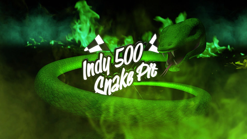 Indy 500 Snake Pit gallery image 3