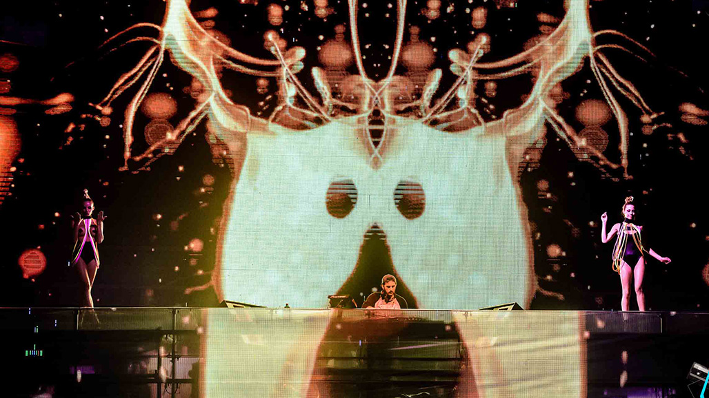 Life in Color gallery image 22