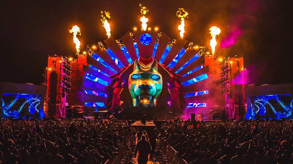 Life in Color gallery image 26