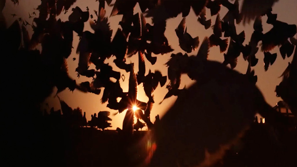 Illenium – AV Track Visuals gallery image 12