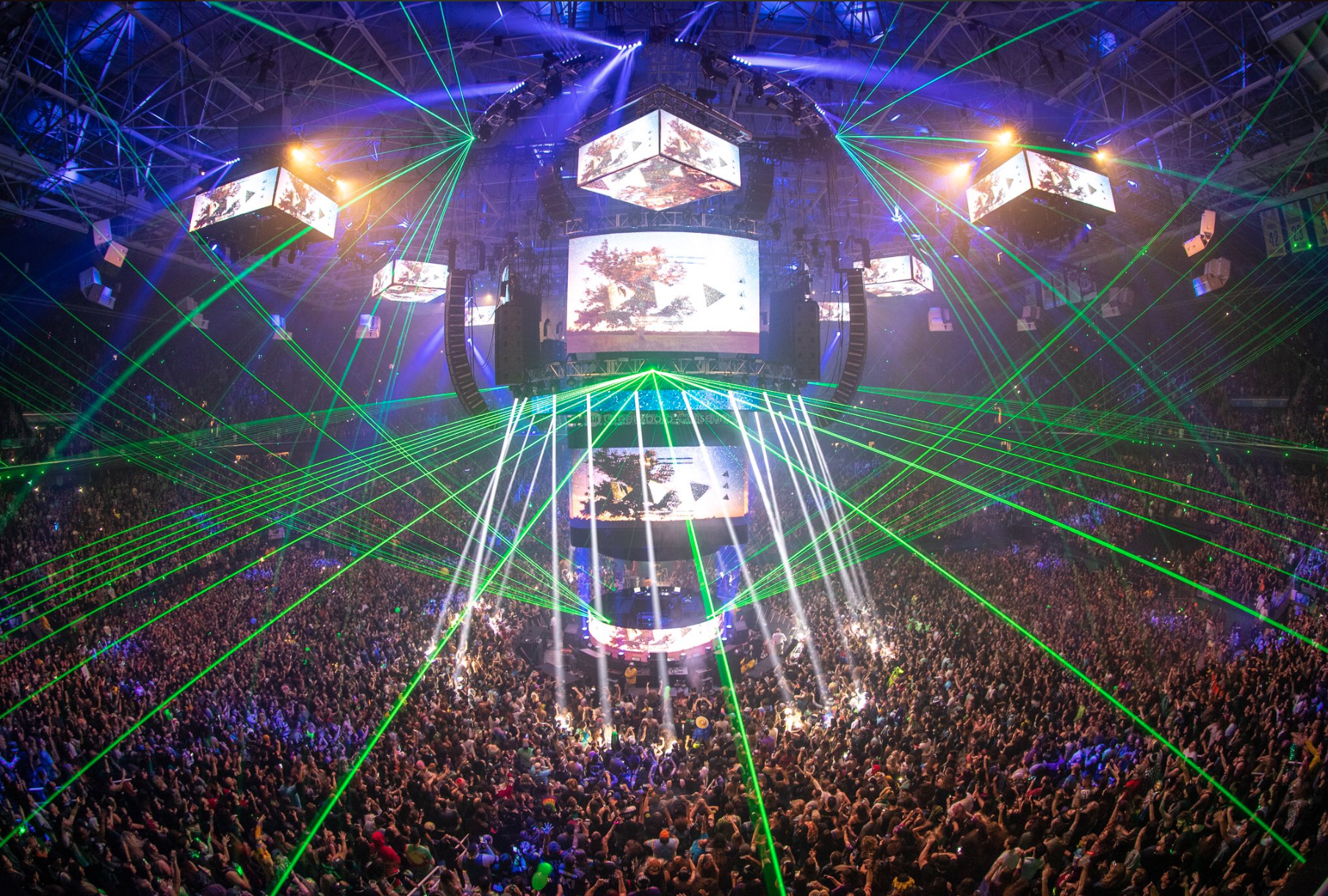 Bassnectar gallery image 7