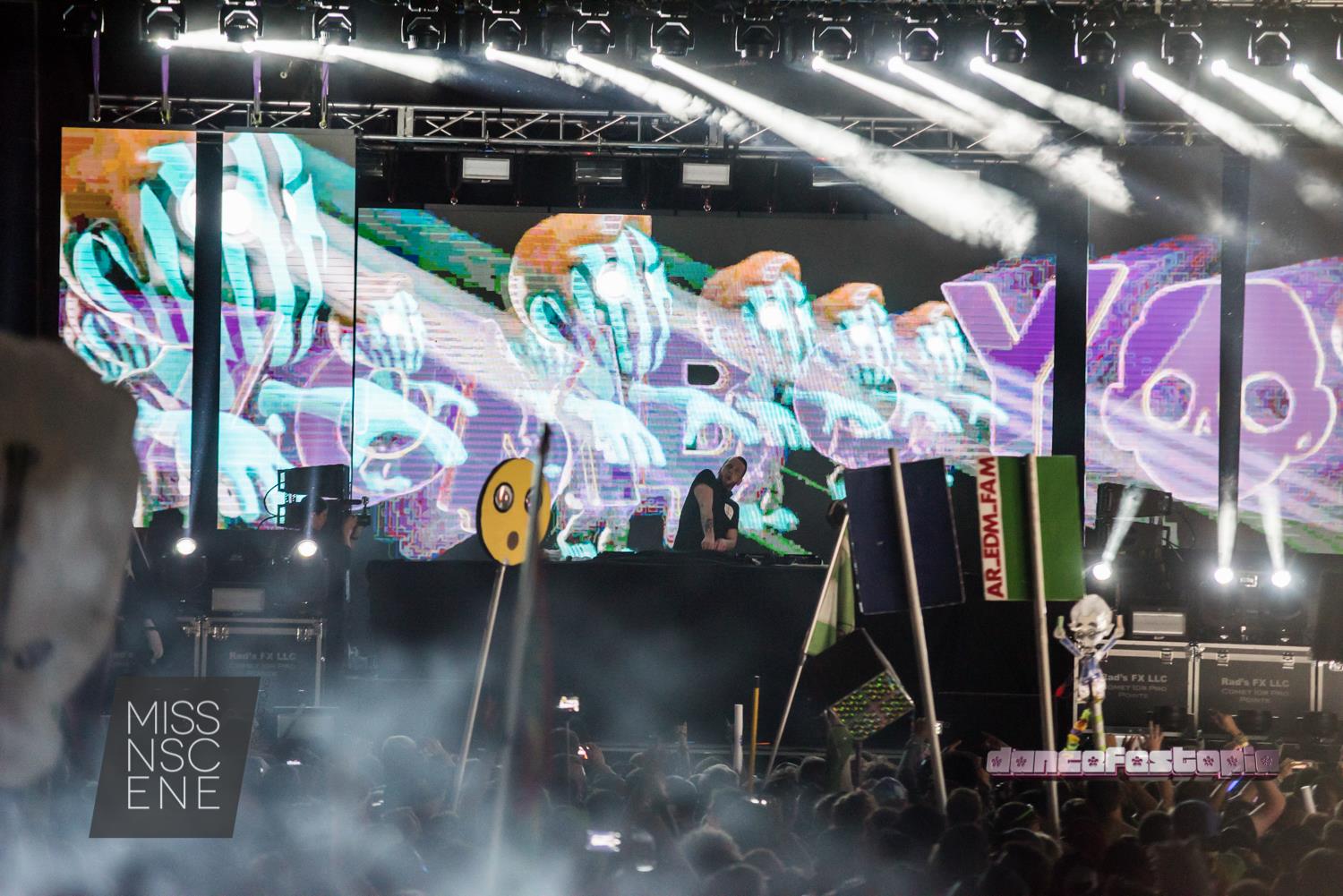 Dancefestopia gallery image 27