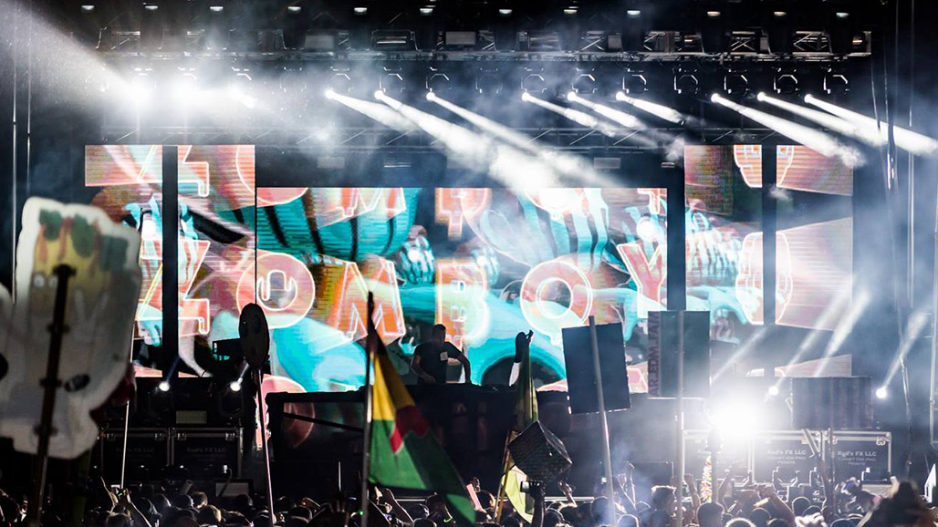 Dancefestopia gallery image 14