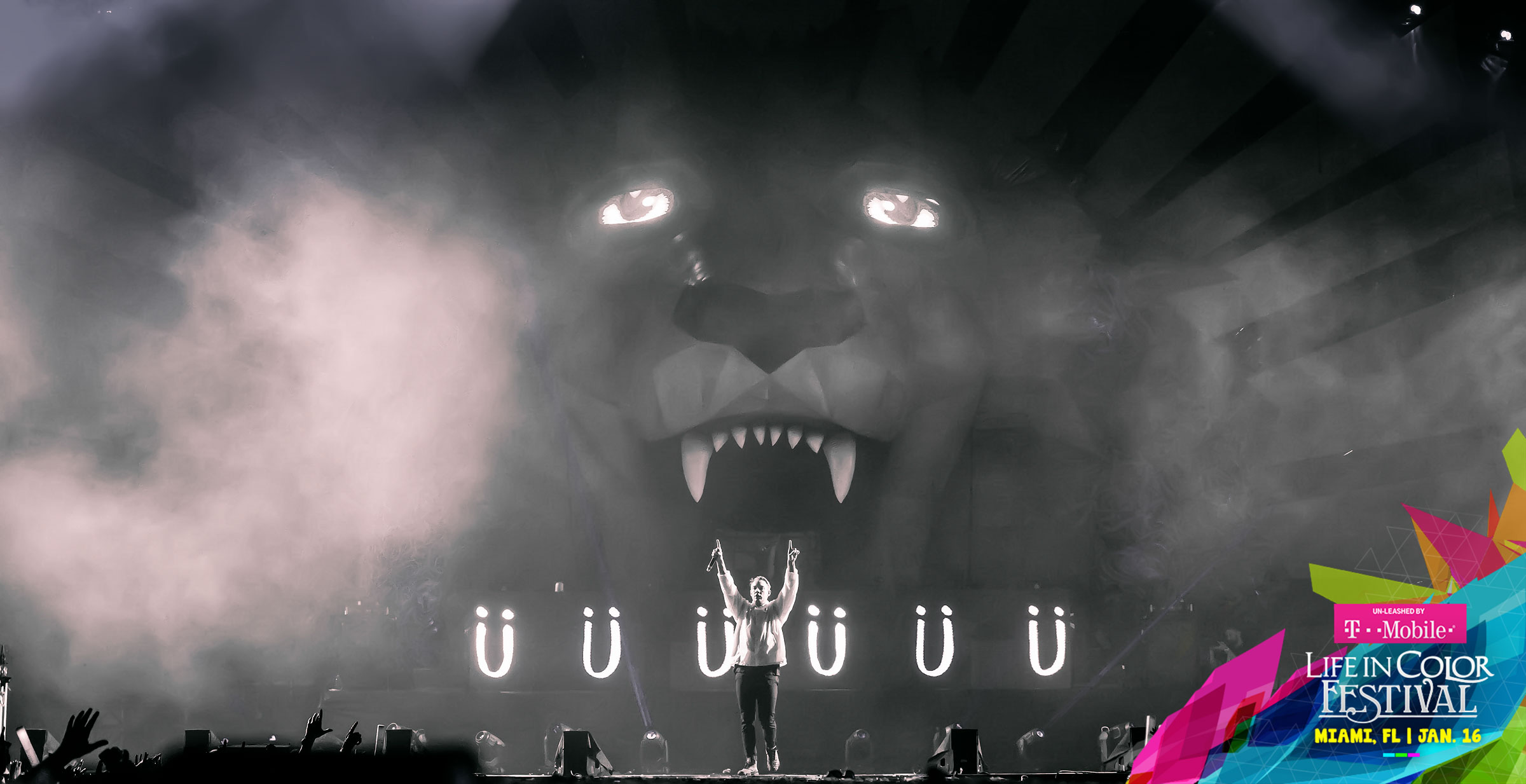Summer Set Music Festival project image