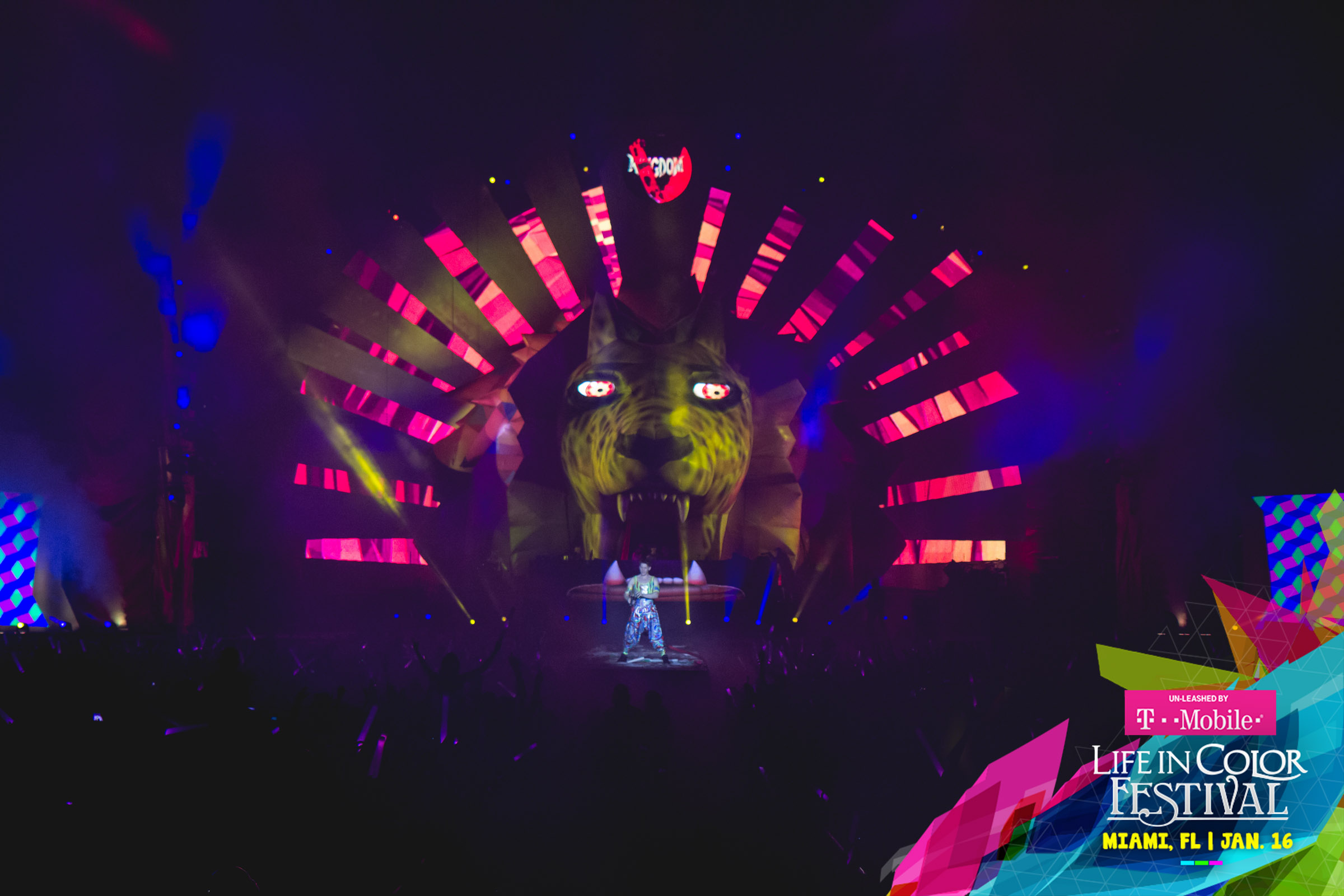 Summer Set Music Festival gallery image 11