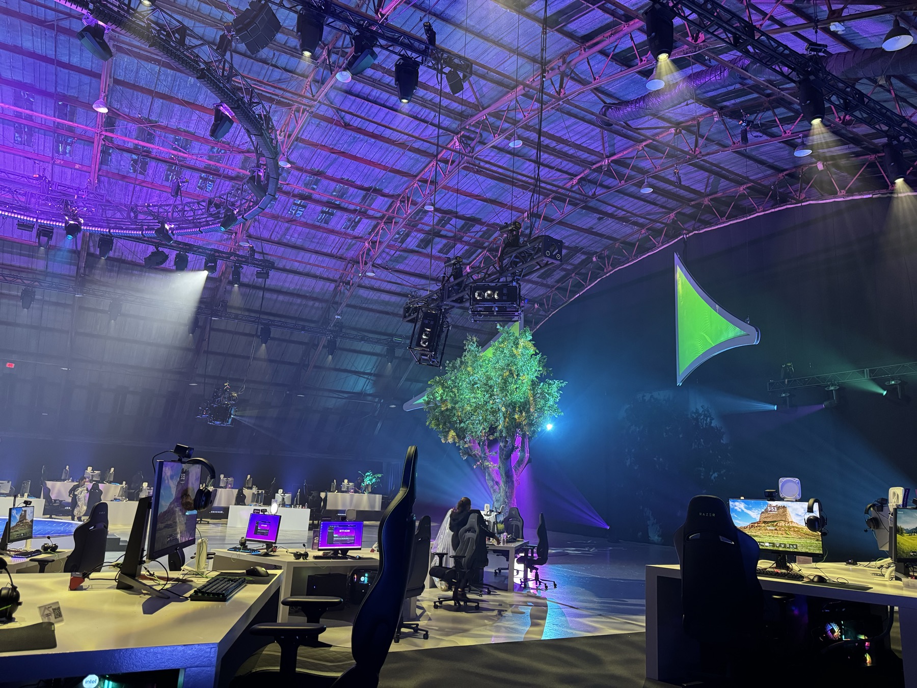 Riot Games Tree Mapping gallery image 7