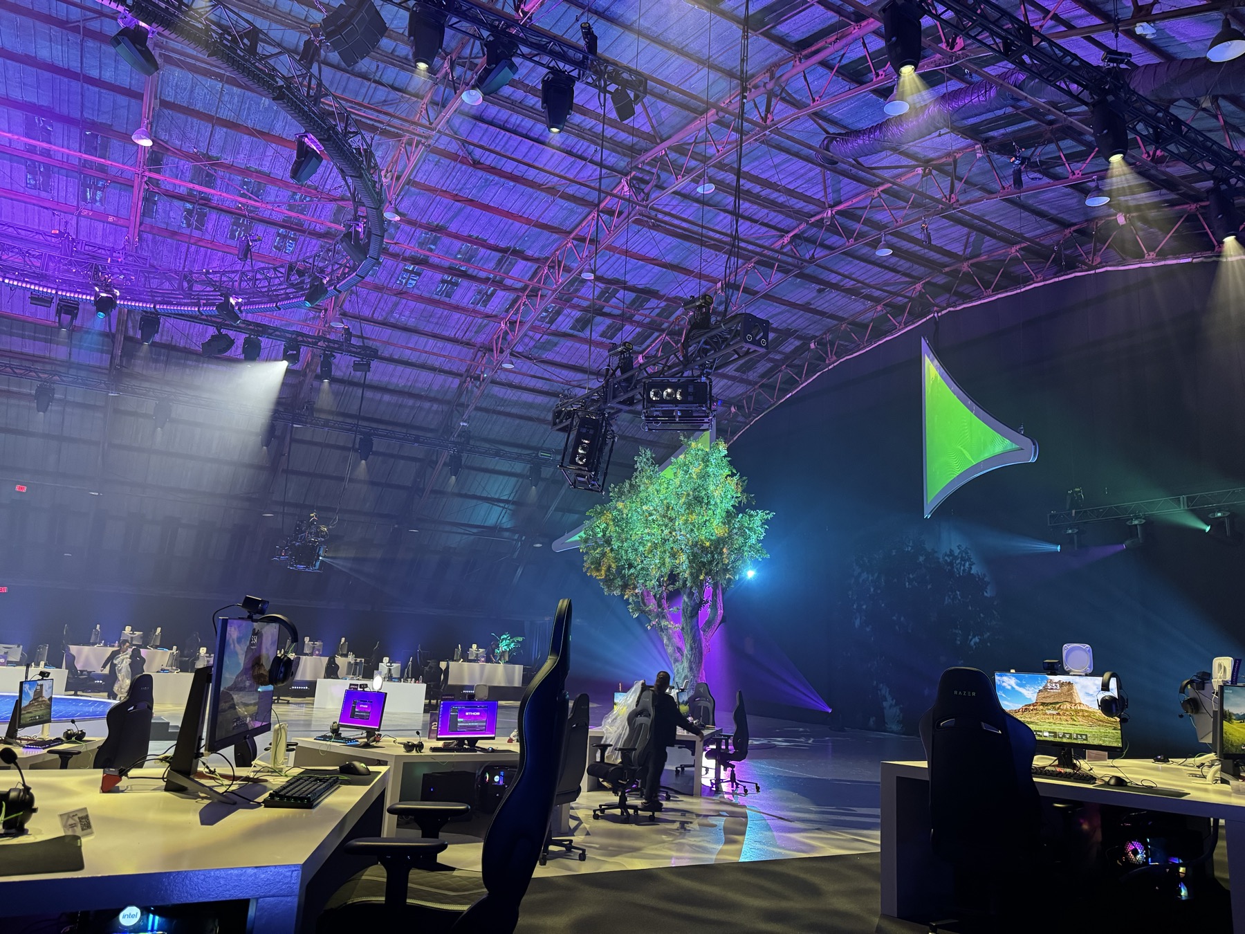 Riot Games Tree Mapping gallery image 8