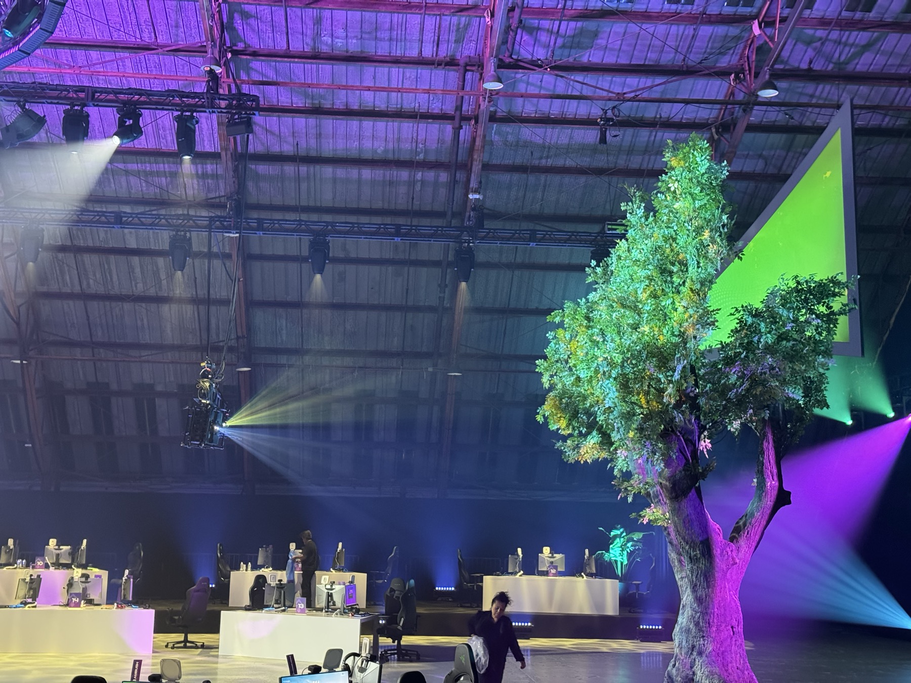 Riot Games Tree Mapping gallery image 19