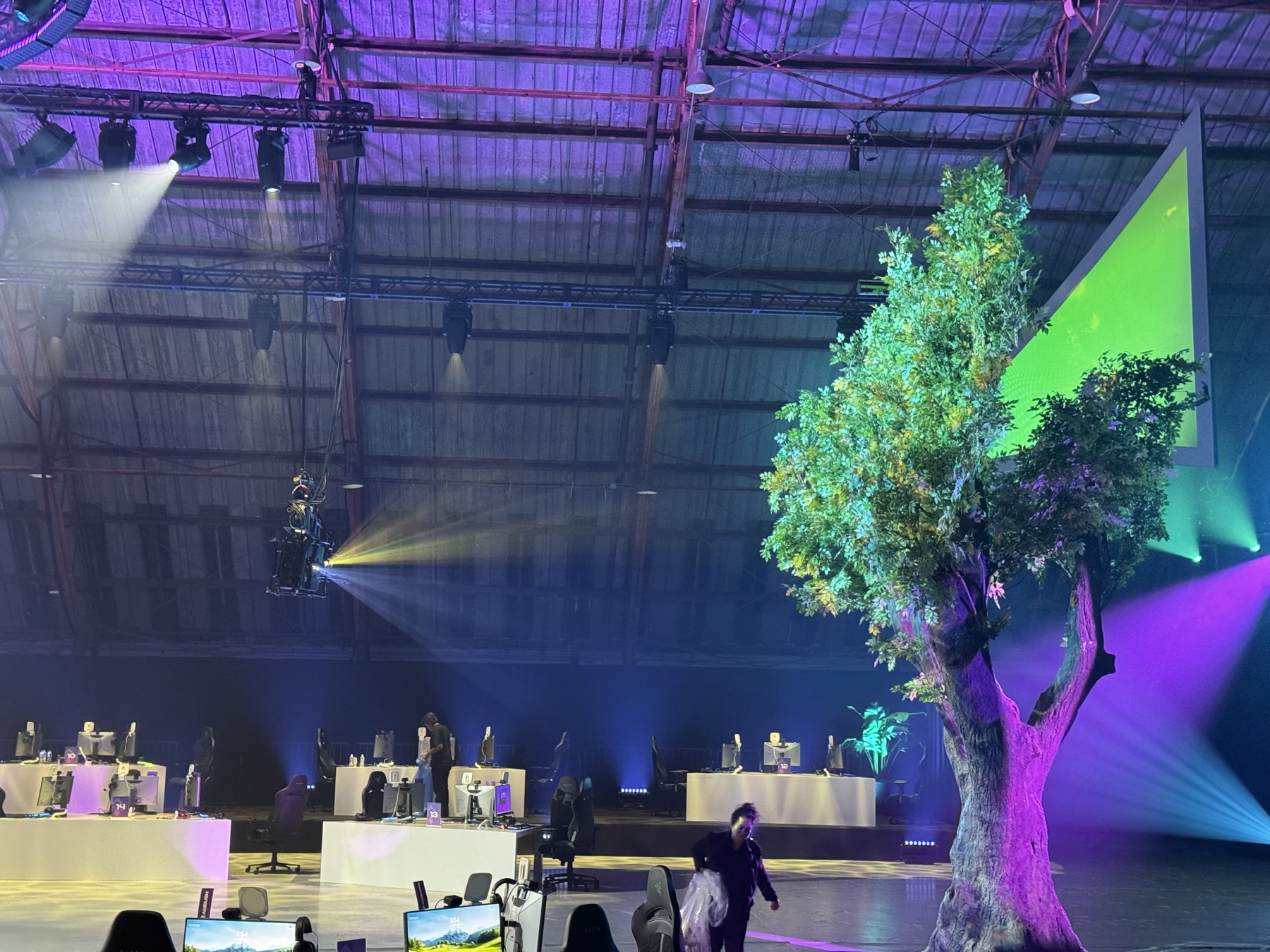 Riot Games Tree Mapping gallery image 20