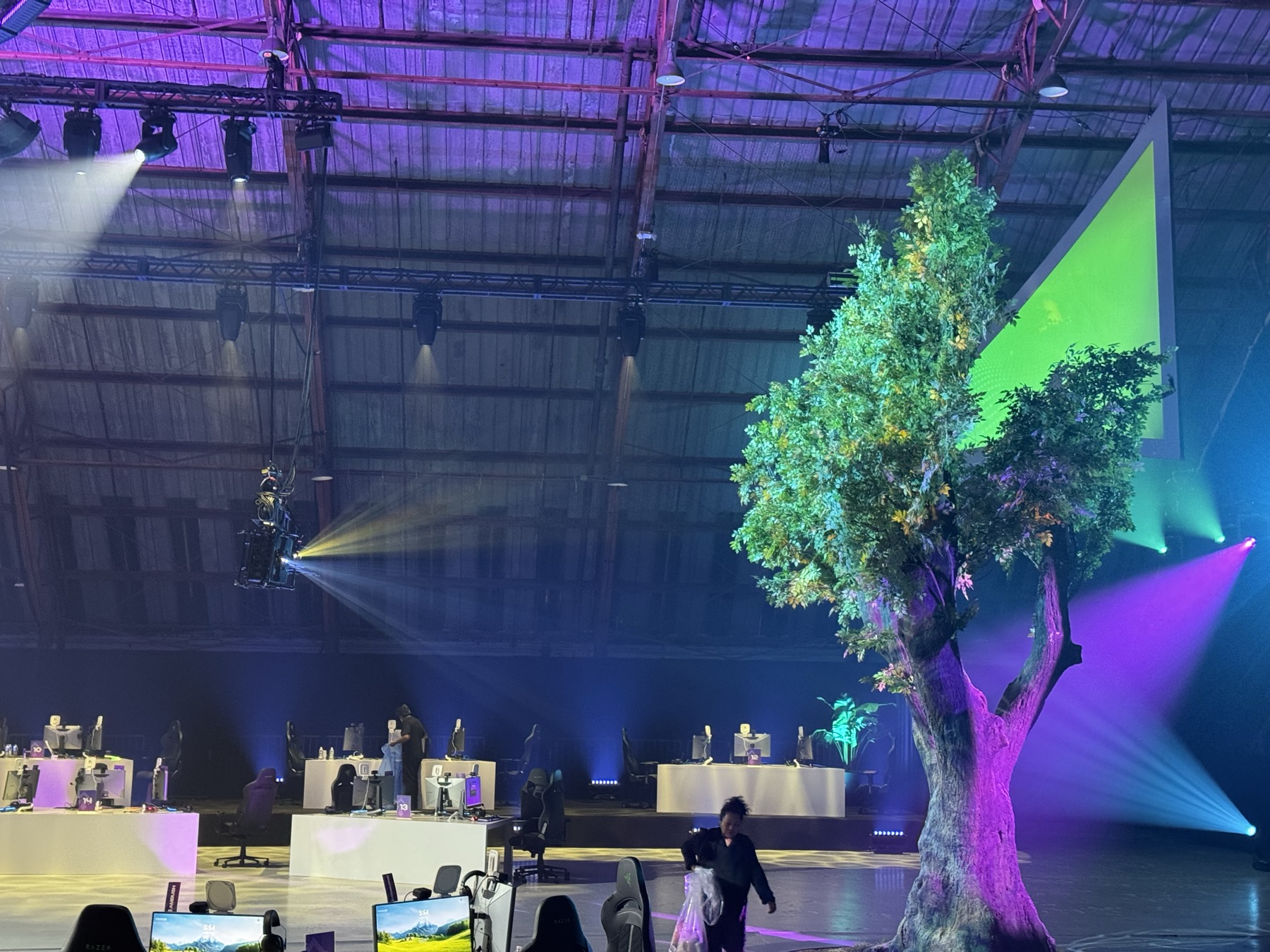 Riot Games Tree Mapping gallery image 21