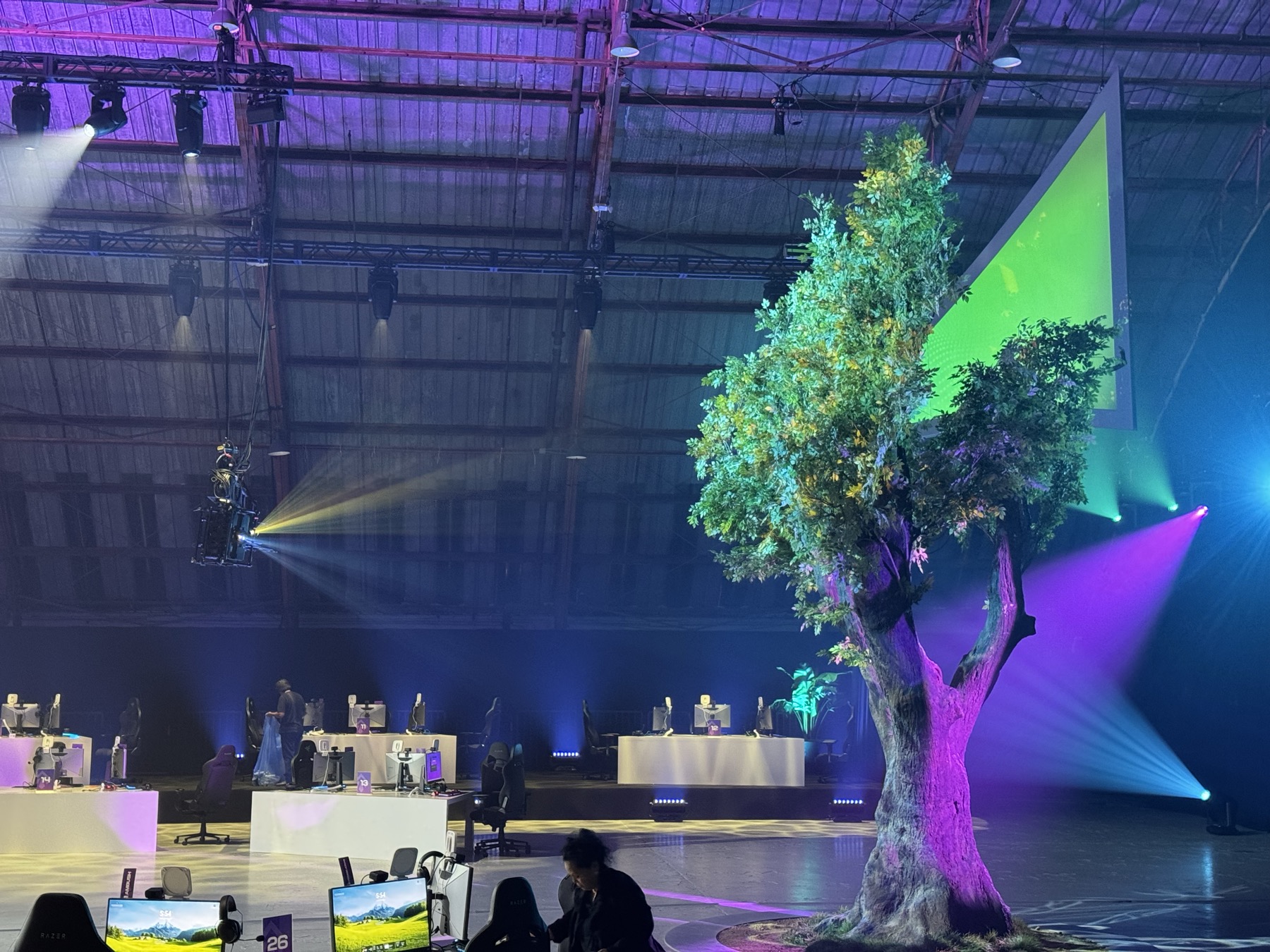 Riot Games Tree Mapping gallery image 23